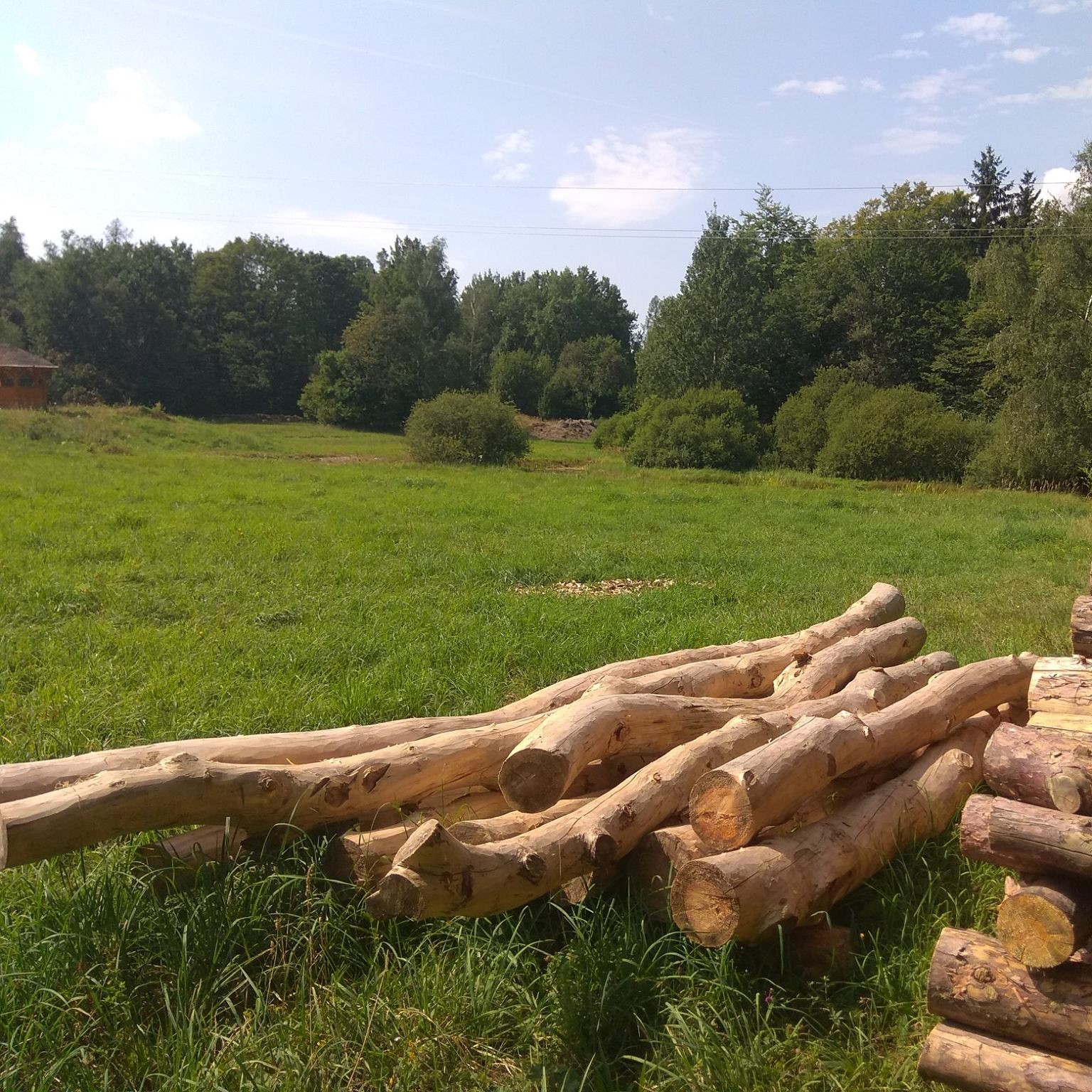 dřevo, ze kterého jsme stavěli chatu Borůvku